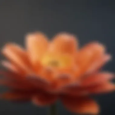 Growth and Acceptance in Self-Love A vibrant flower symbolizing growth and self-acceptance