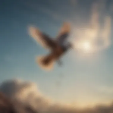 Letting Go and Soaring Free A symbolic representation of releasing burdens, such as a bird in flight