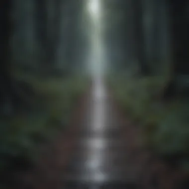 A path leading through a dark forest, symbolizing the journey through depression