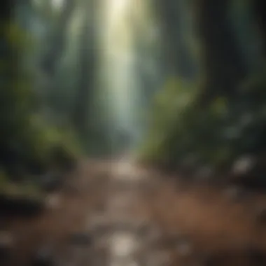Journey of Personal Growth Visual metaphor for personal growth and mental change
