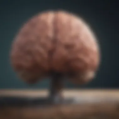 The Brain in Distress A visualization of the brain's activity during anxious moments