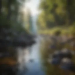 A tranquil landscape symbolizing peace of mind