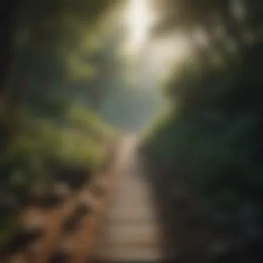 Pathway to Personal Growth and Transformation Symbolic depiction of personal growth and transformation
