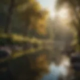 A tranquil landscape promoting relaxation and mindfulness.