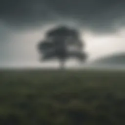 A serene landscape depicting a solitary tree in a foggy field, symbolizing loneliness and reflection.