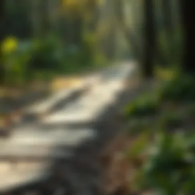 Visual representation of recovery and healing