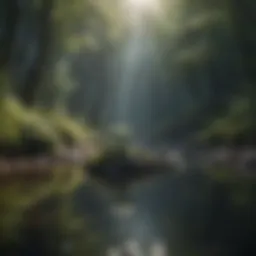A serene landscape reflecting isolation