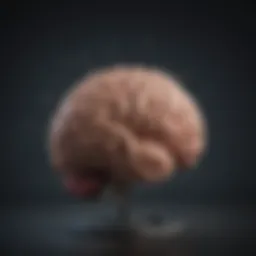 A brain illustration highlighting emotional fluctuations