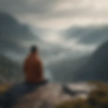 Contemplation in Solitude A solitary figure gazing out at a vast, misty landscape