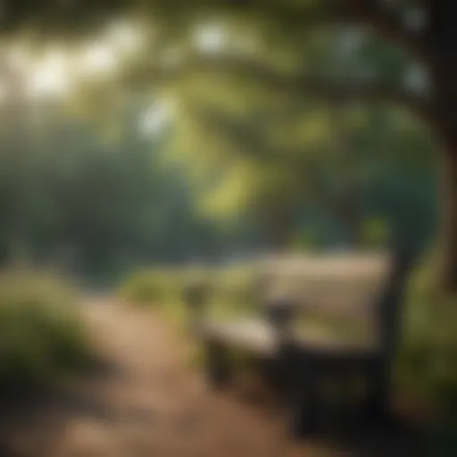 A serene park bench surrounded by nature